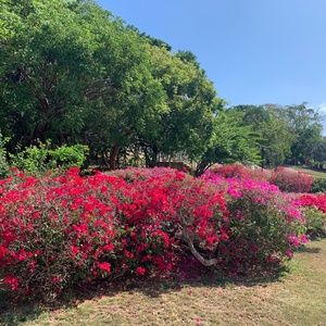 Meet your Posher, Gilda